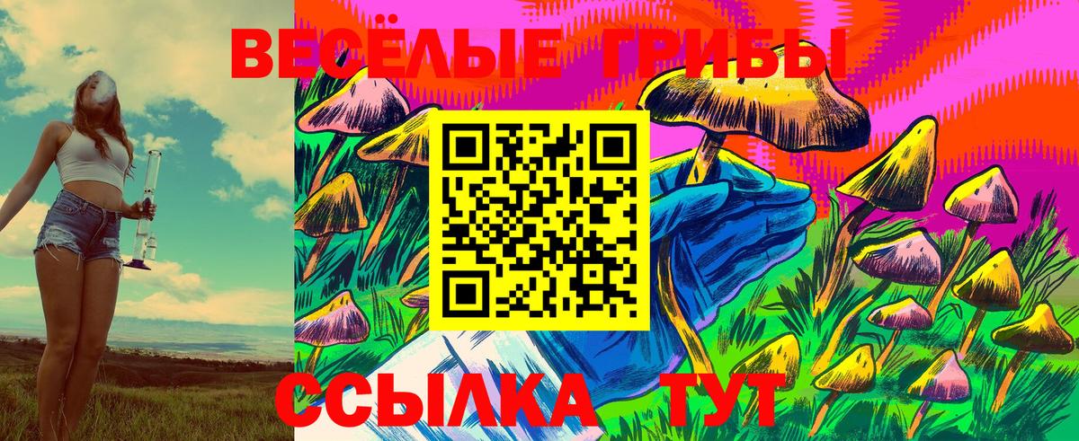 Псилоцибиновые грибы прущие грибы  Галлюциногенные грибы Psilocybe  Ейск  Вход с VPN 