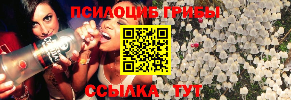 Псилоцибиновые грибы Magic Shrooms Ейск